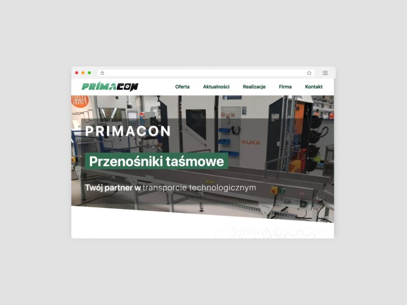 Dobór systemu transportowego dla niestabilnych kształtów